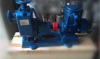 自吸式离心油泵 自吸式离心油泵