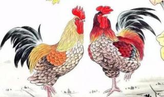 红光满面指什么生肖