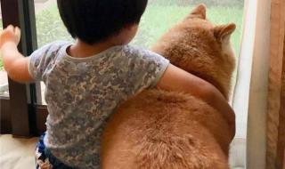 岁月就像一把杀猪刀